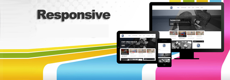 Responsive Website